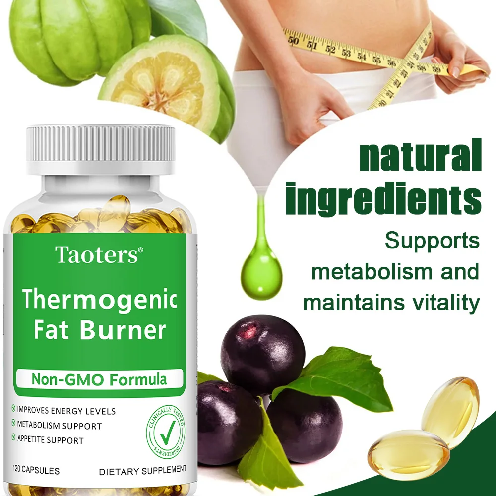 Green Tea Extract Fat - Extrato de chá verde - com
