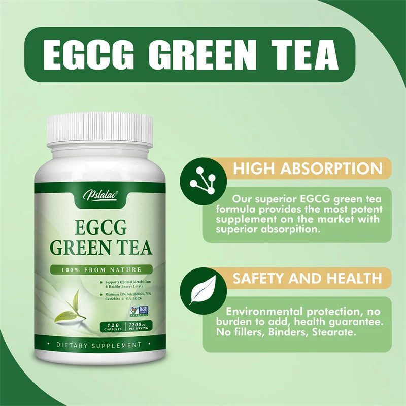 Green Tea Extract Fat - Extrato de chá verde EGCG -