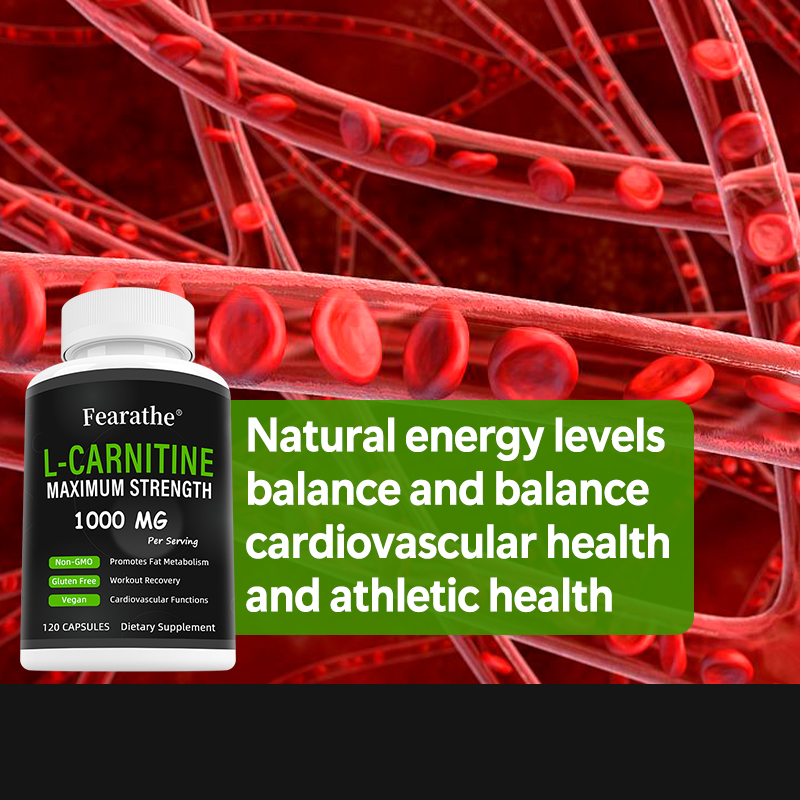 Cápsulas de L-Carnitina, Suple - Nutrition And Exercise avaliação e preço