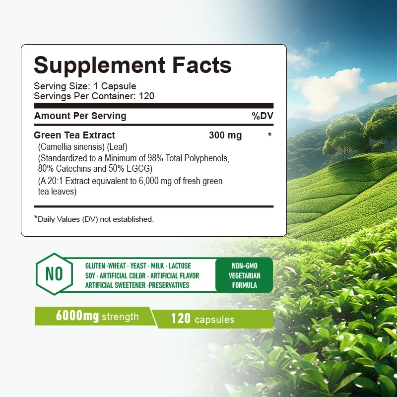 Cápsulas de Chá Verde - Queima - Green Tea Extract Fat avaliação e preço