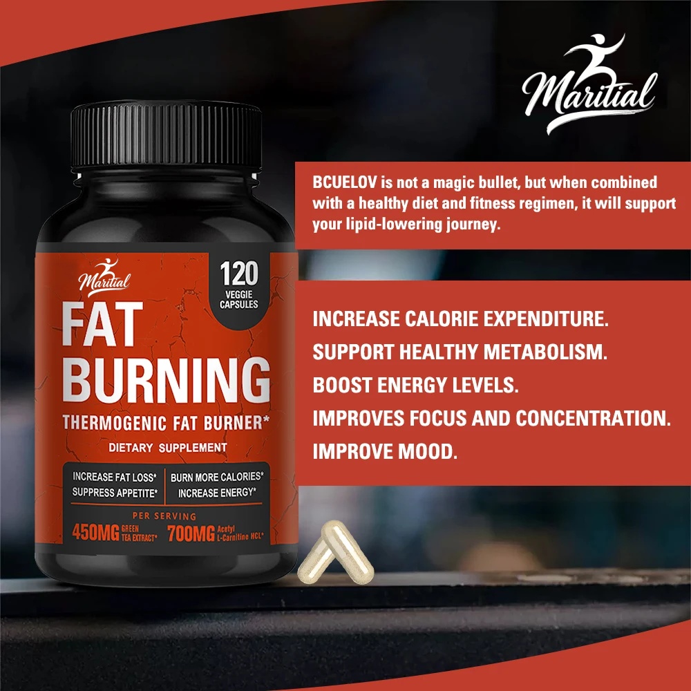 Acetil-L-Carnitina, Extrato de - Green Tea Extract Fat avaliação e preço