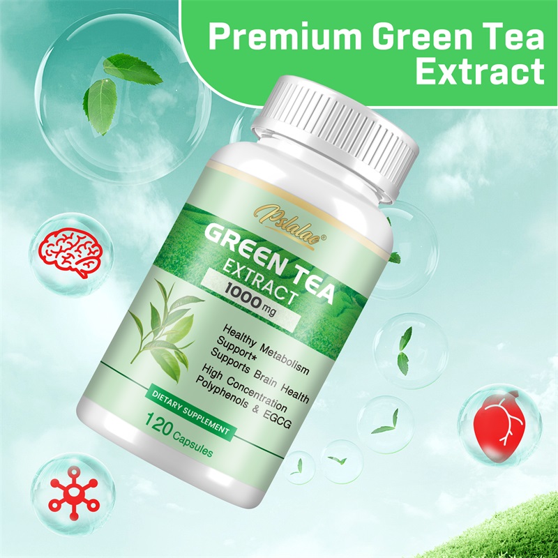 Extrato de chá verde - com 98% - Green Tea Extract Fat avaliação e preço