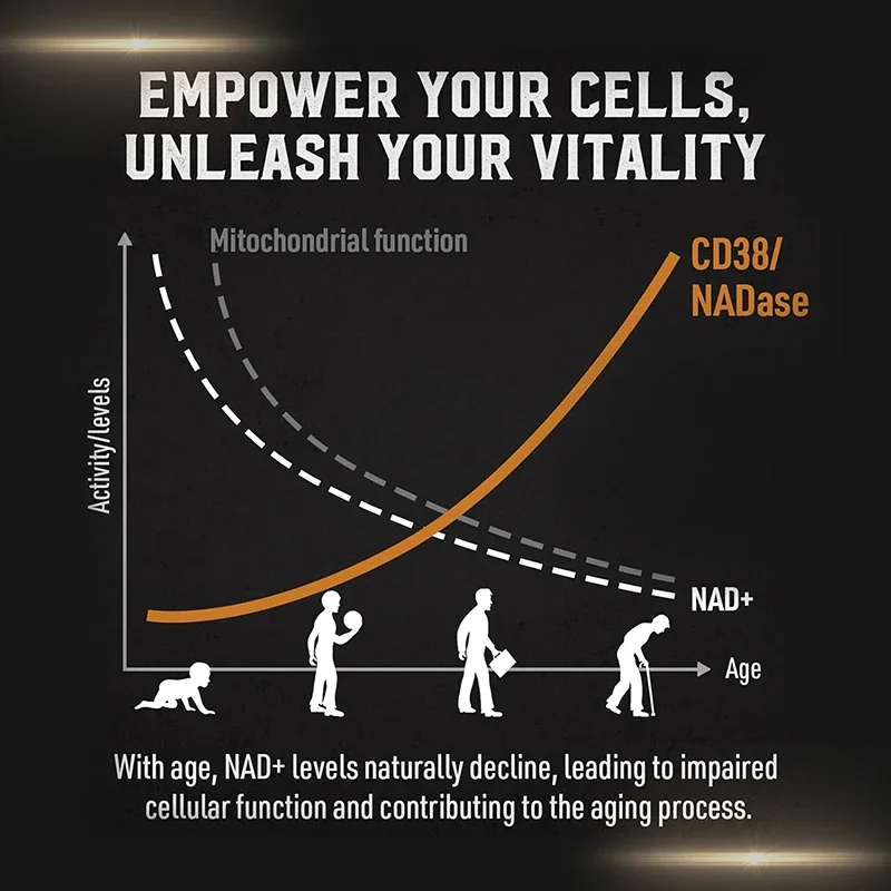Suplemento Liposomal NAD - Apo - Pre Workout Supplement avaliação e preço