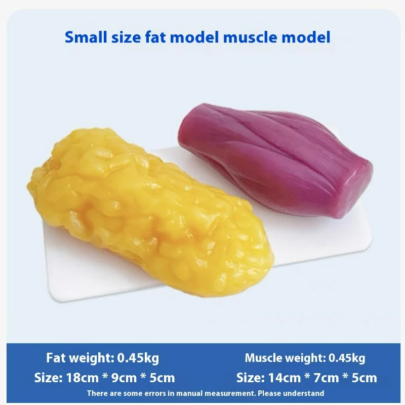 Réplicas de Músculos e Gordura - Nutrition Fitness Health avaliação e preço