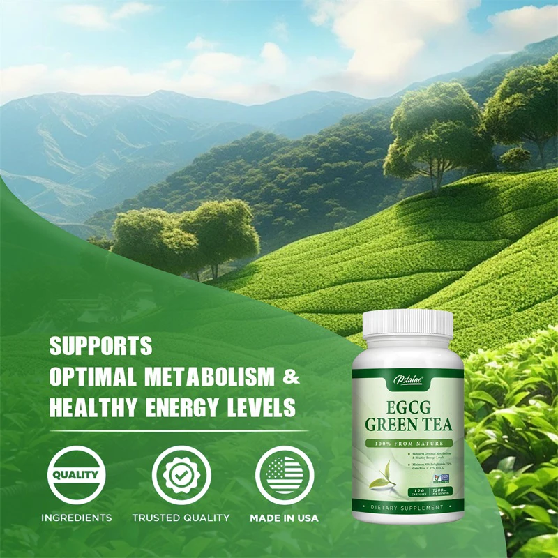 Extrato de chá verde EGCG - au - Green Tea Extract Fat avaliação e preço